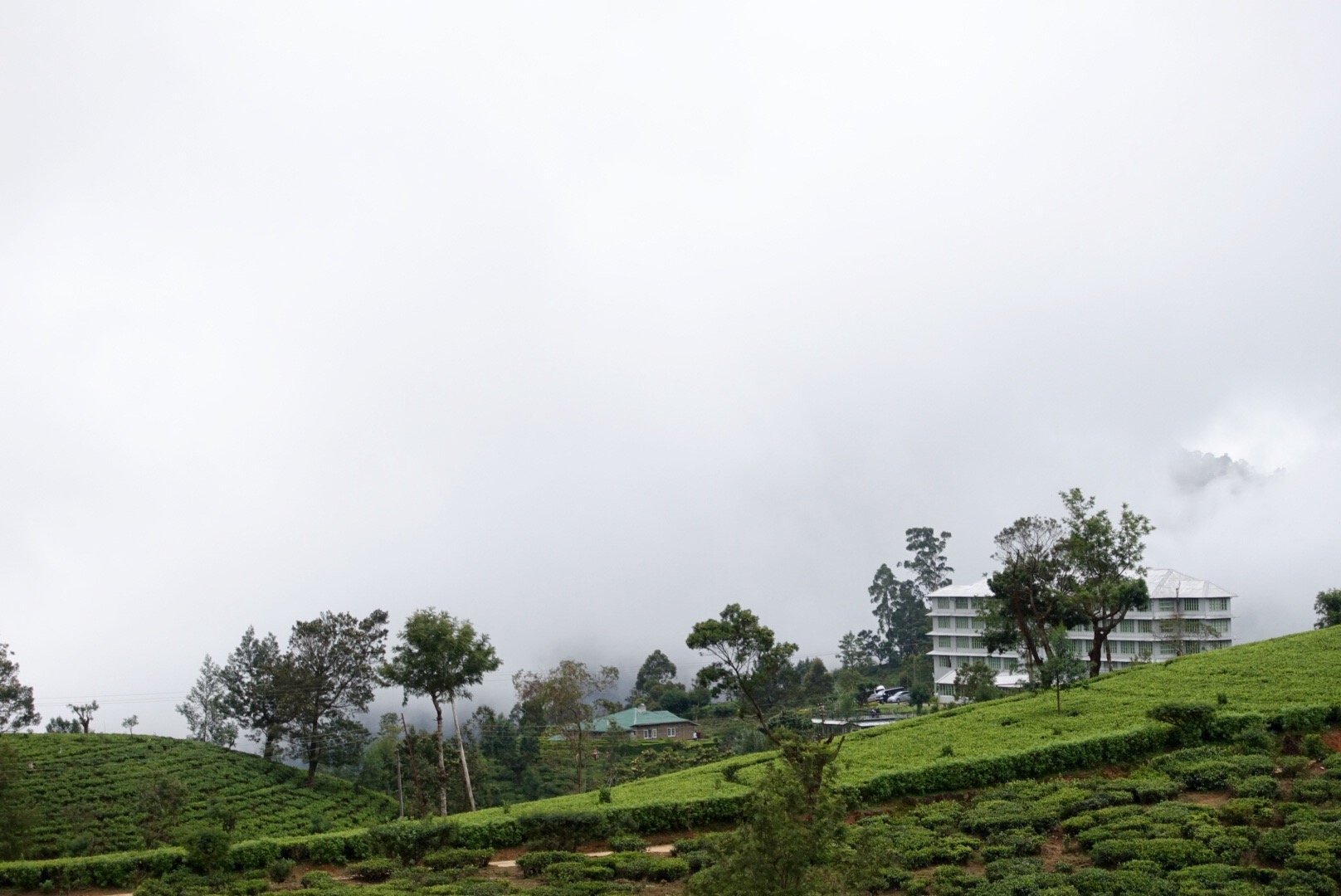 The Cool Highlands & Luxury Retreat